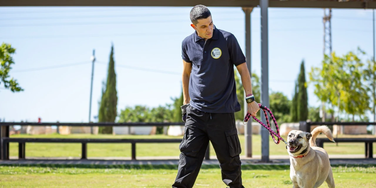 שירותי העסק