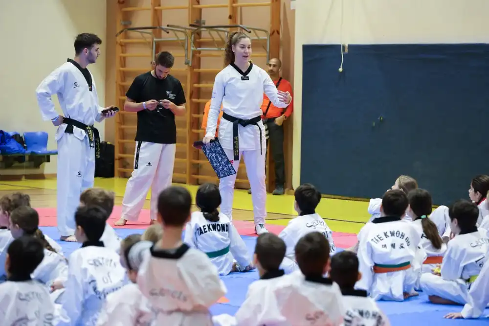 בלוג ומאמרים