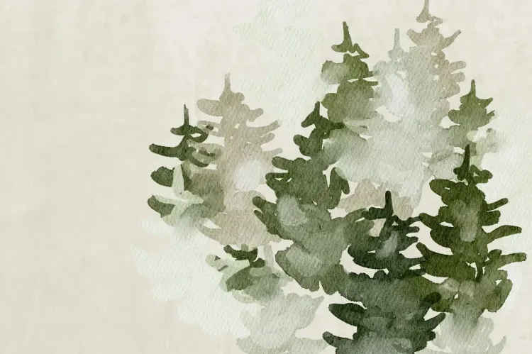 שירותי העסק