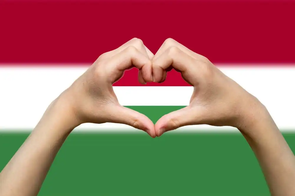 כל הסיבות הטובות