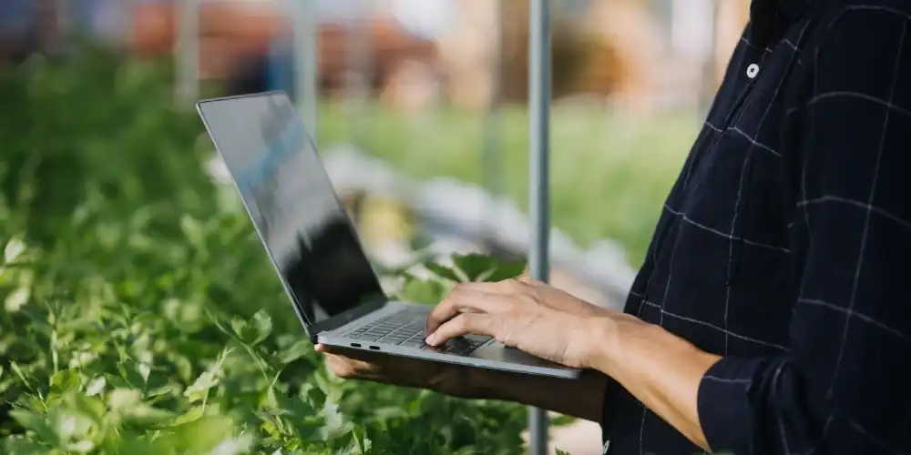 בלוג ומאמרים