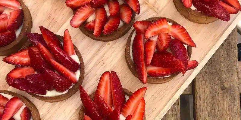 בלוג ומאמרים