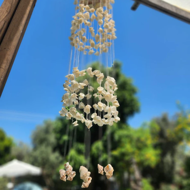 בלוג ומאמרים