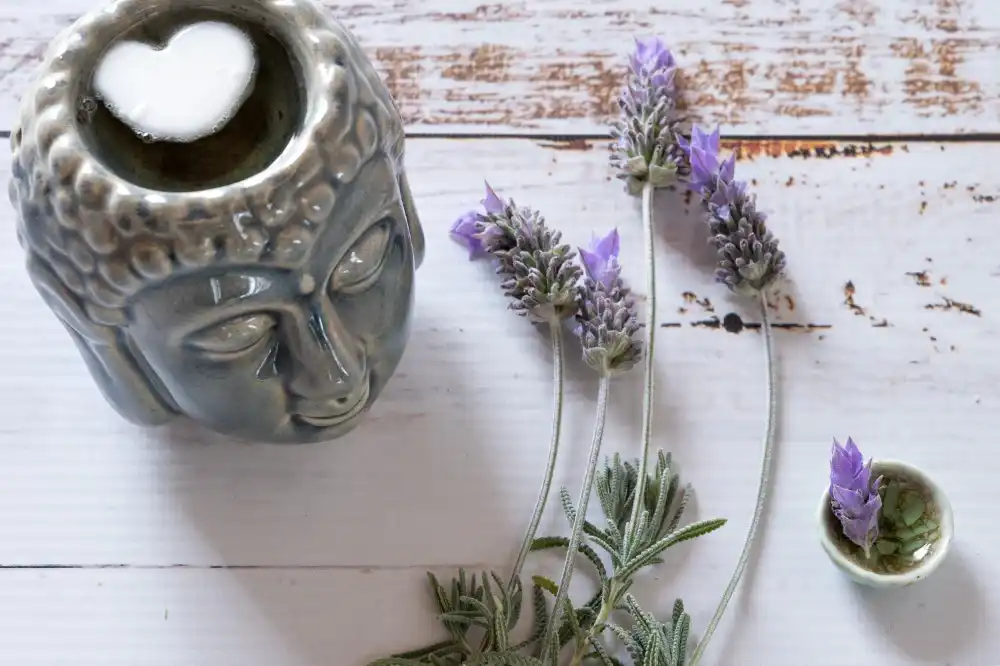 בלוג ומאמרים