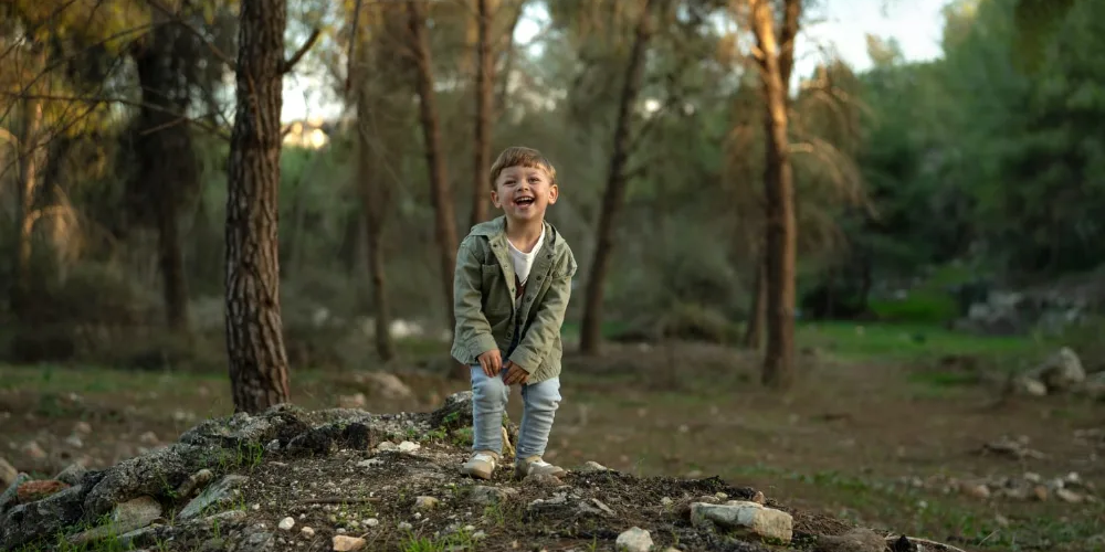 בלוג ומאמרים