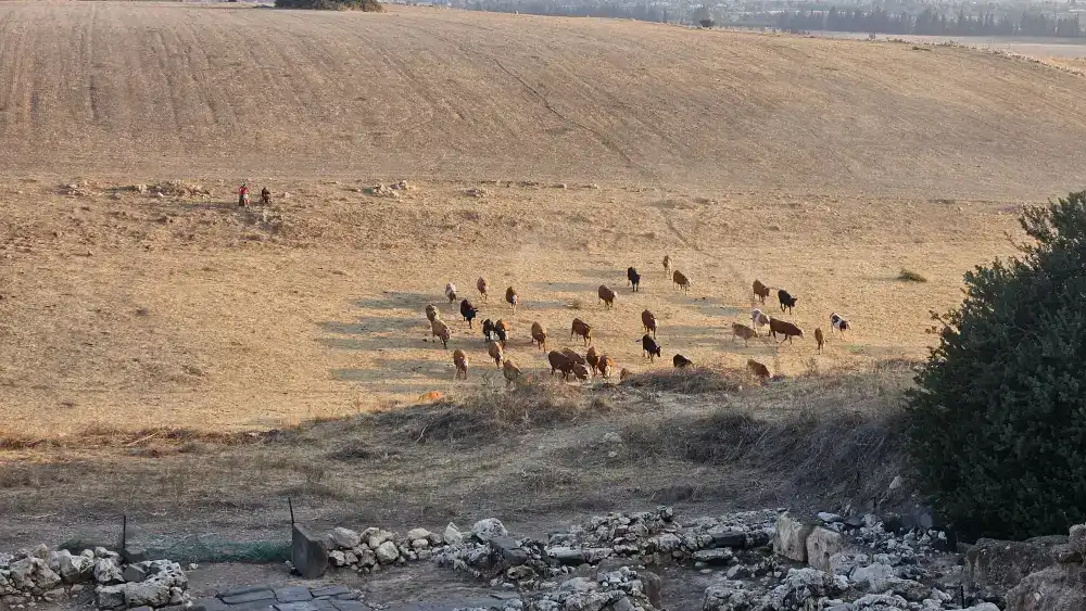 מסעות קונספט