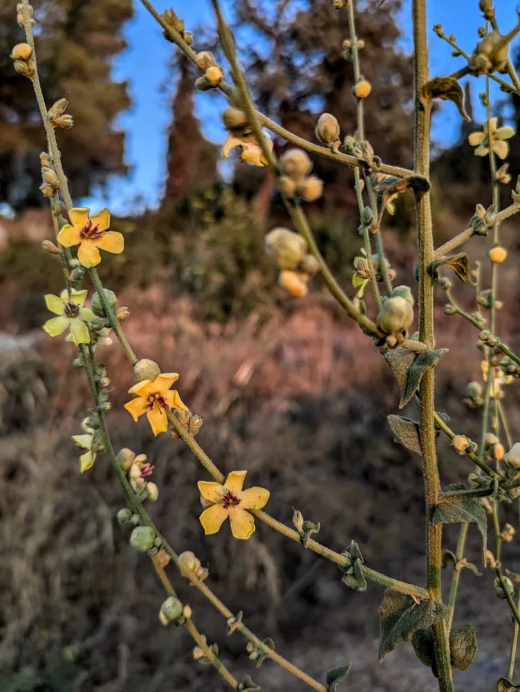 Отзыв о походе 