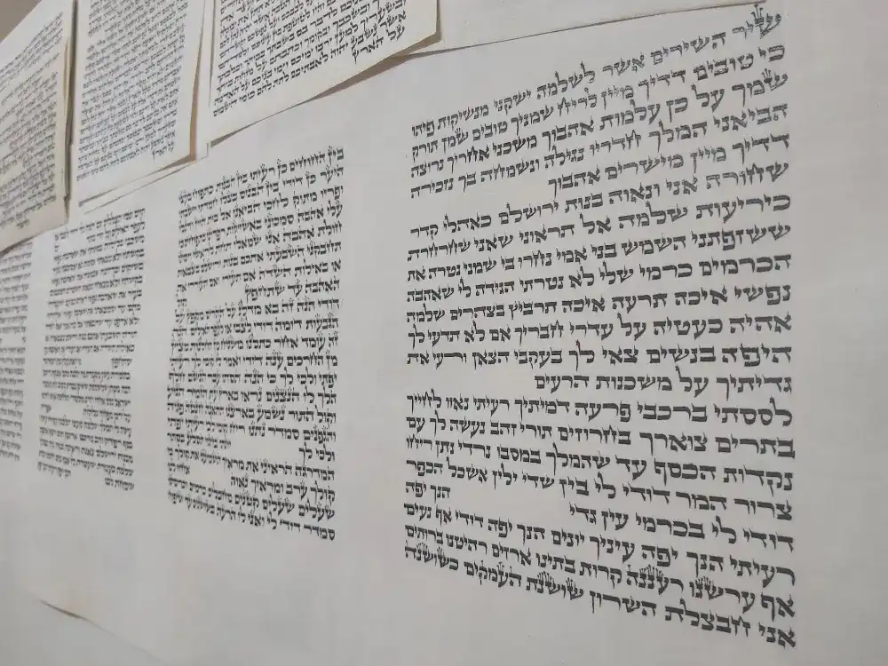 בלוג ומאמרים