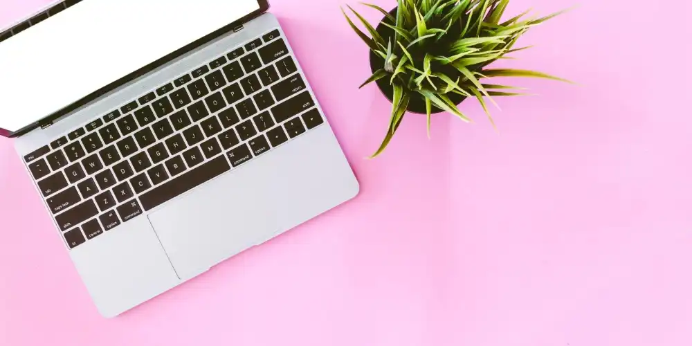 בלוג ומאמרים