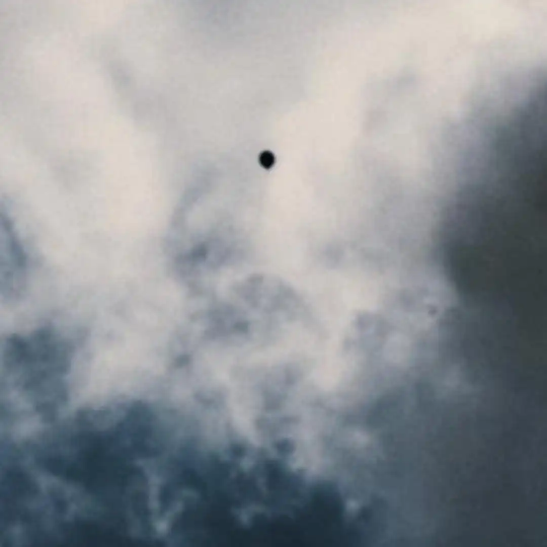 בלוג ומאמרים