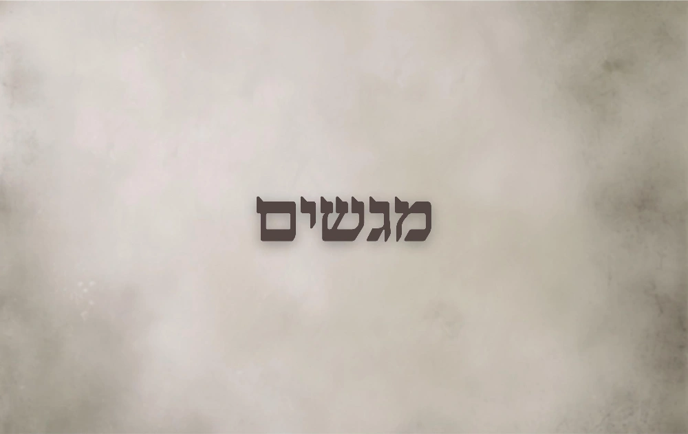 מגשים