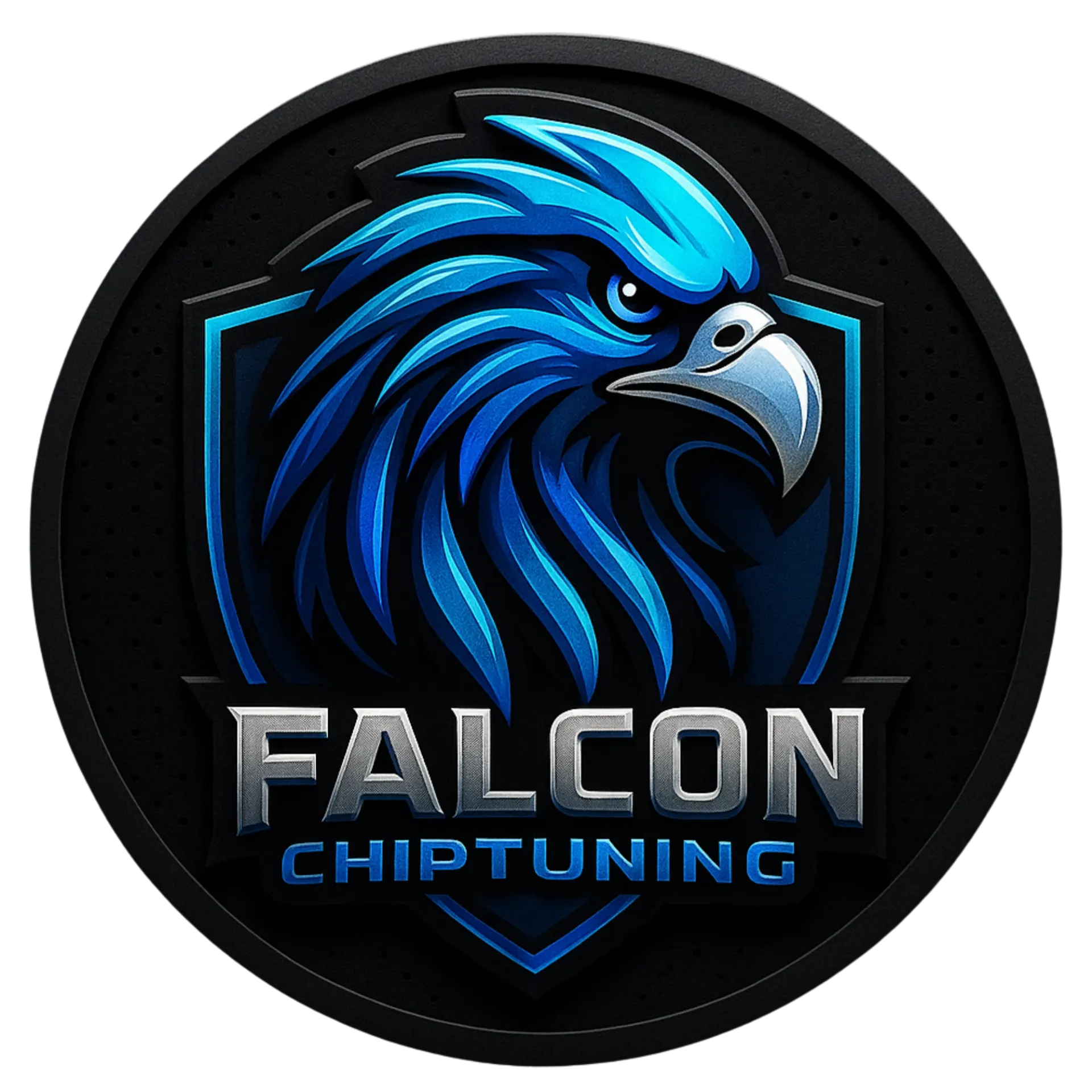 קצת עלינו || Falcon Chip Tuning il
