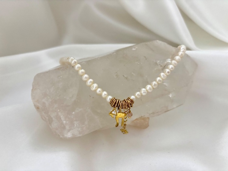 השירותים שלנו