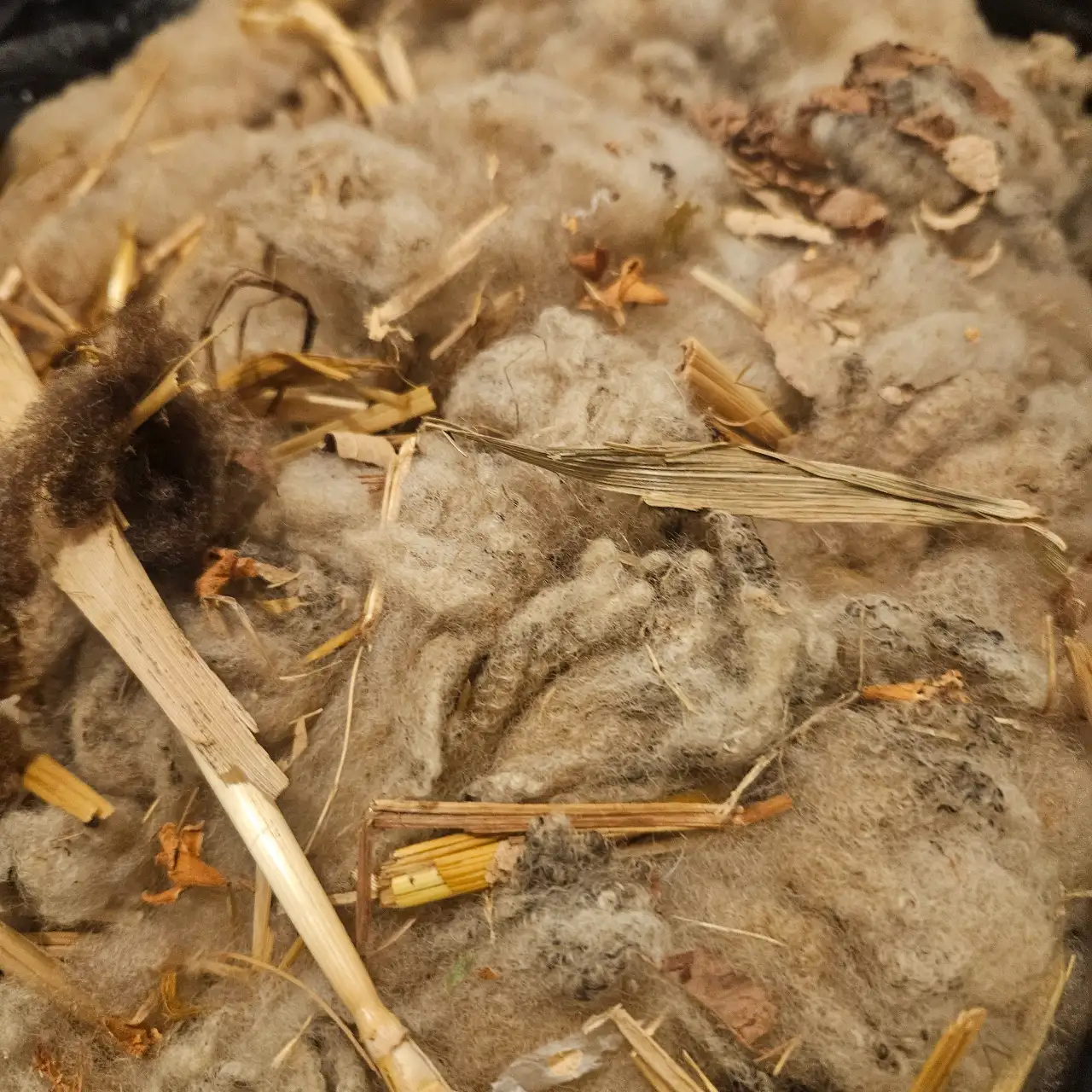 בלוג ומאמרים