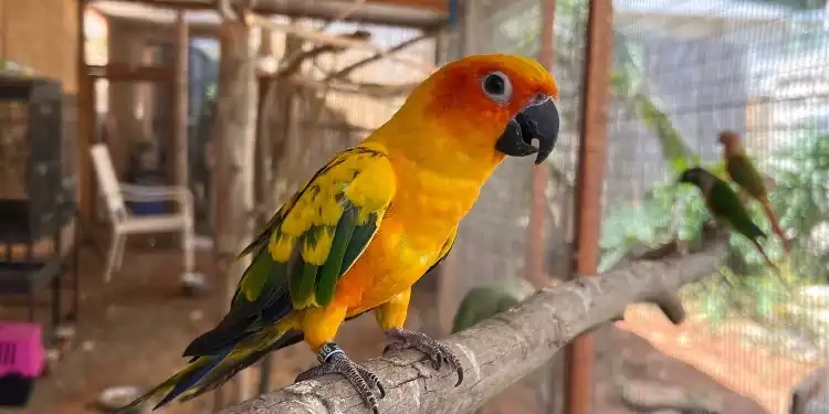 בלוג ומאמרים