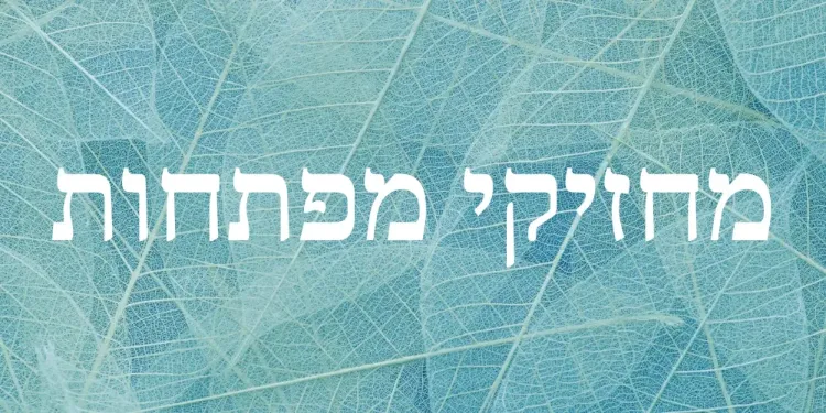 מחזיקי מפתחות