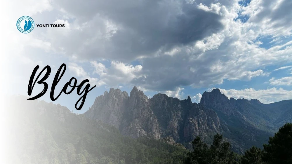 בלוג ומאמרים