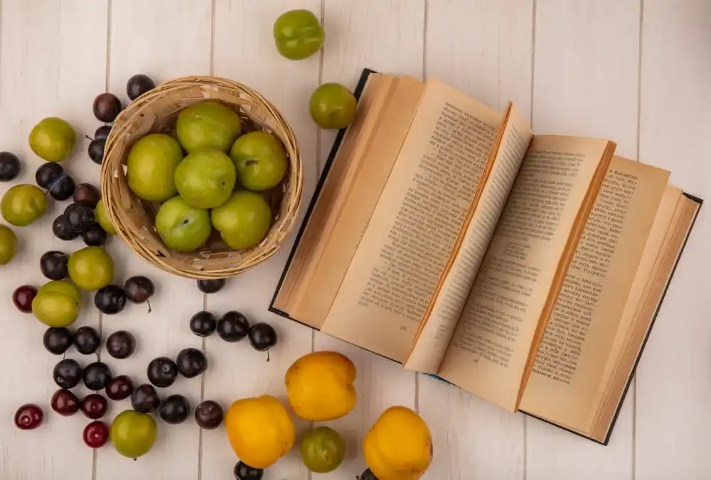 בלוג ומאמרים