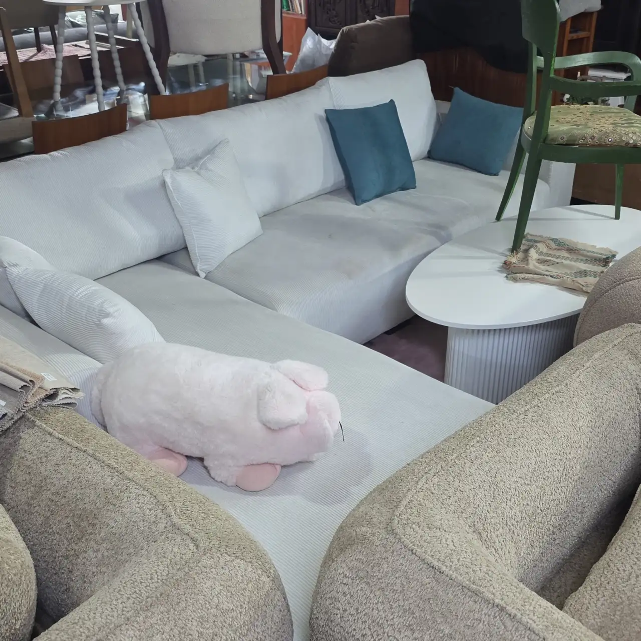 סלונים פינתי 