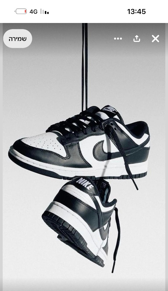 Nike Dunk Low