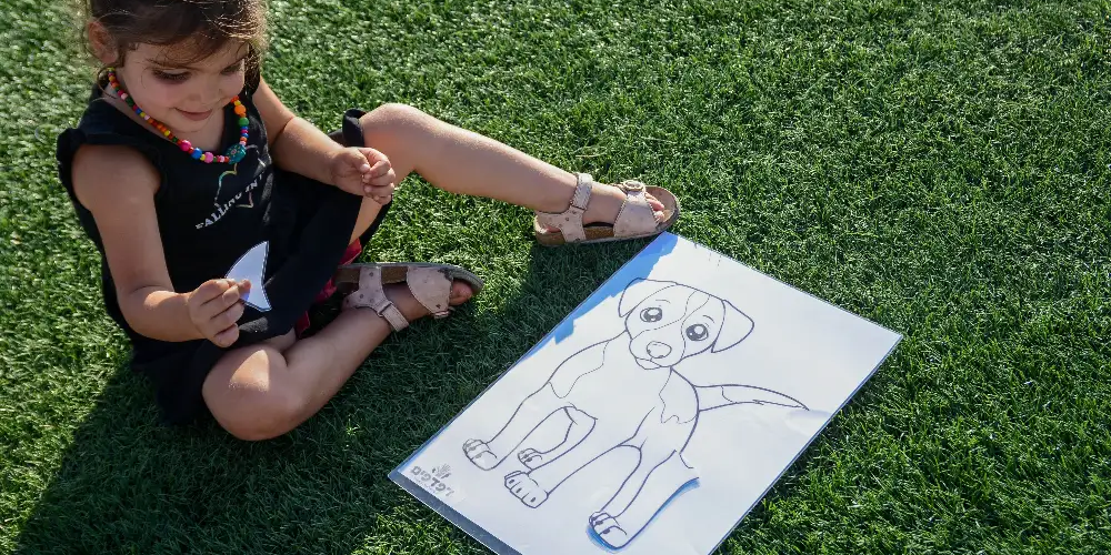 בלוג ומאמרים