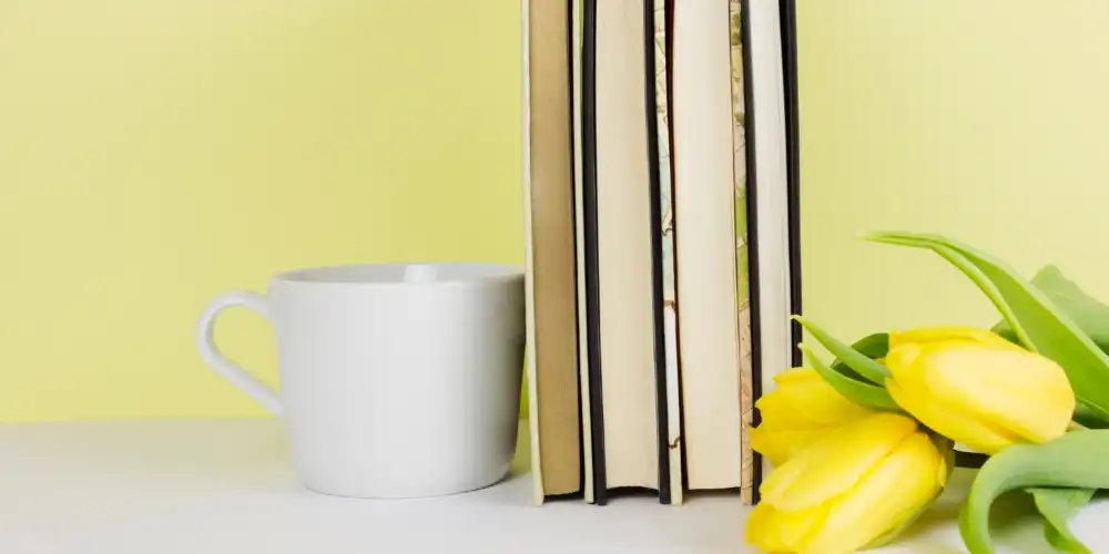 בלוג ומאמרים