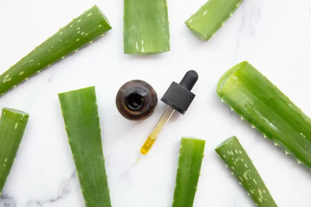 בלוג ומאמרים