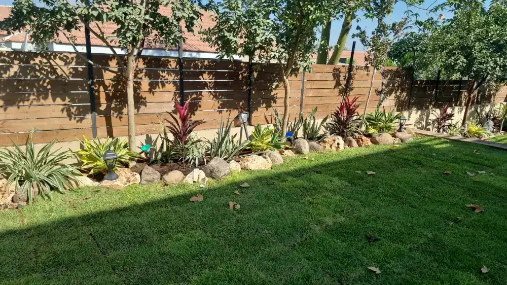 אדריכלות נוף ותכנון גינות בדרום הארץ | מפל פיתוח נוף