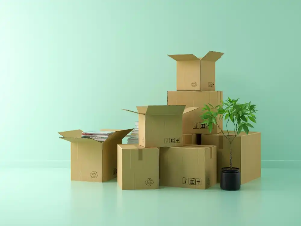 בלוג ומאמרים