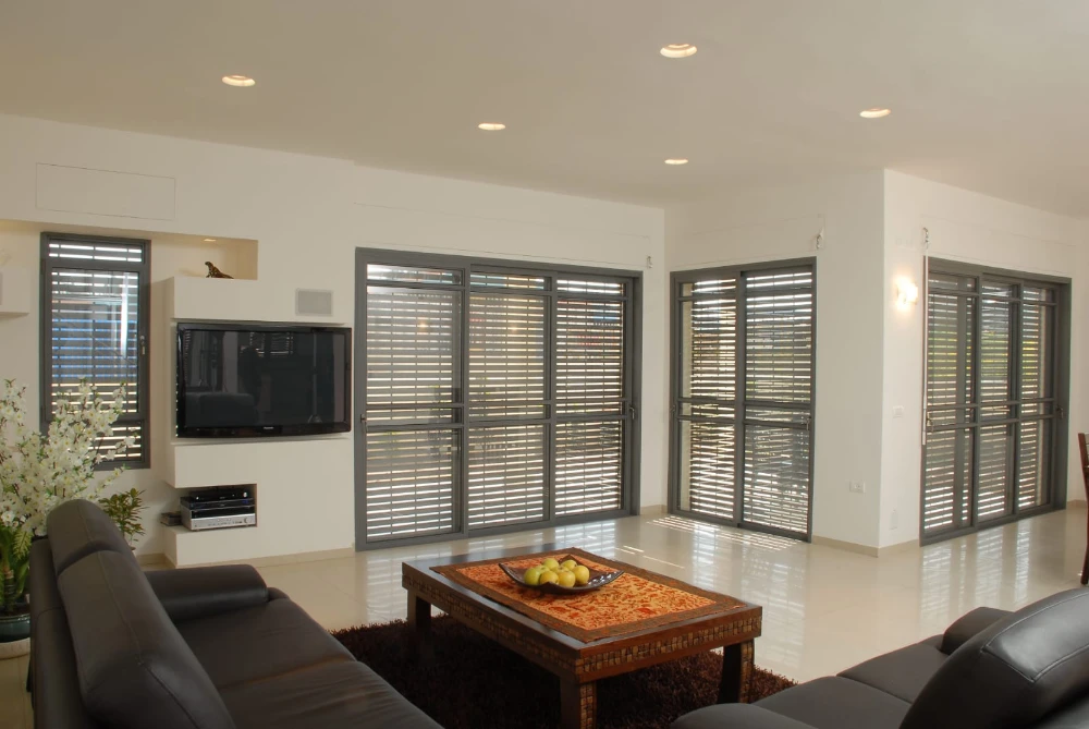 השירותים שלנו