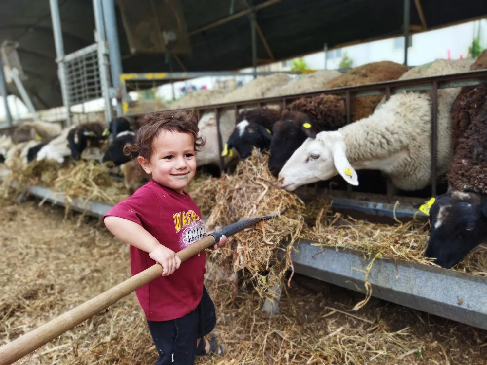השירותים שלנו