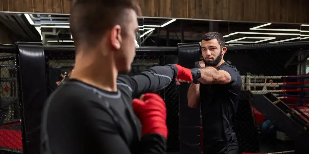 בלוג ומאמרים