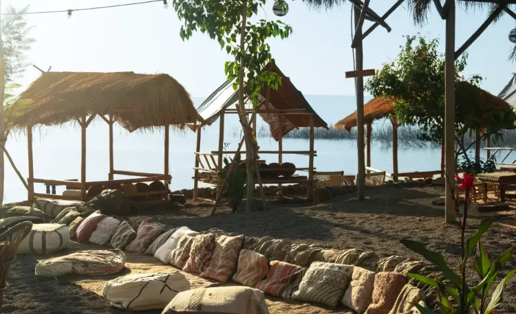 השירותים שלי