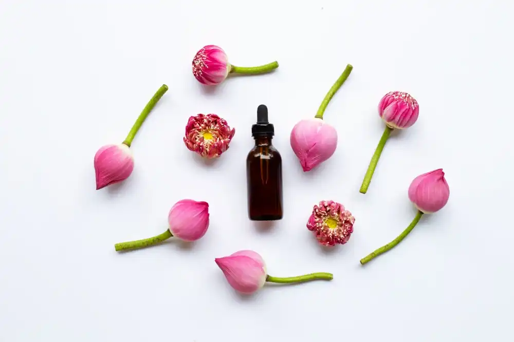 סטודיו לטיפולי ציפורניים בדימונה - שירותי העסק | אורין גנץ