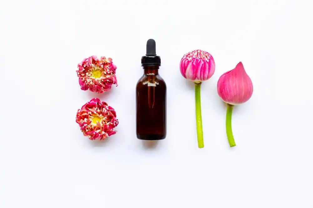 בלוג ומאמרים