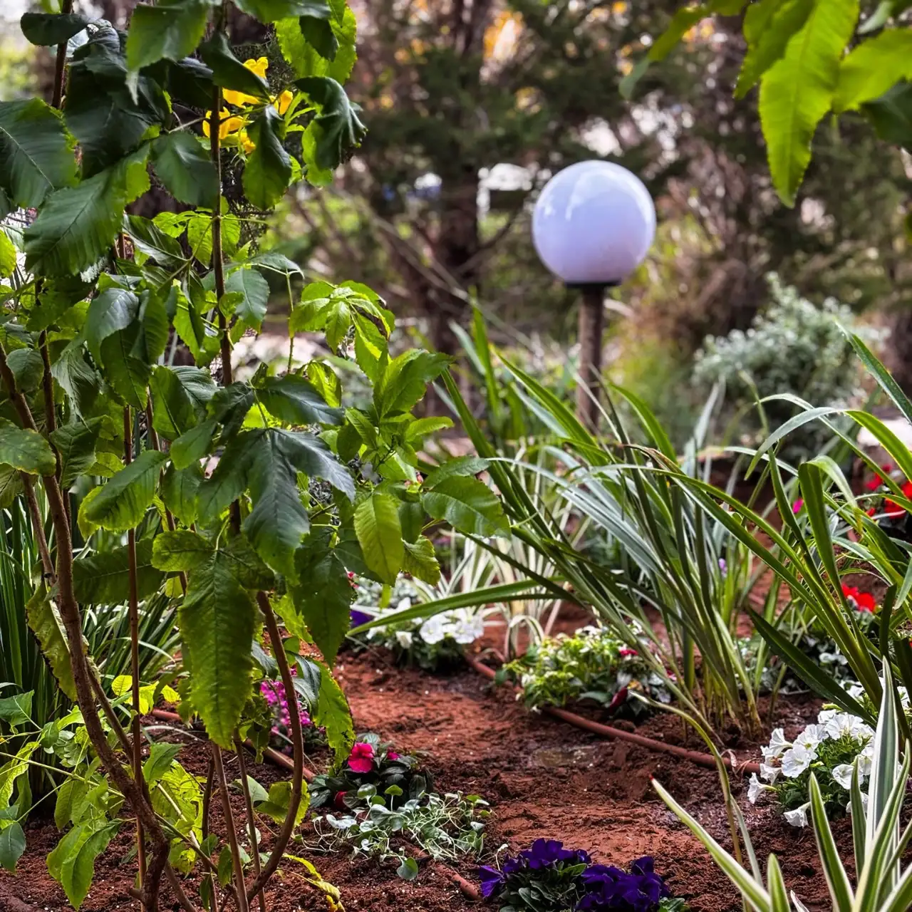 שירותי העסק