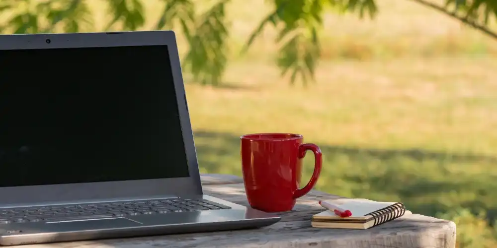 בלוג ומאמרים