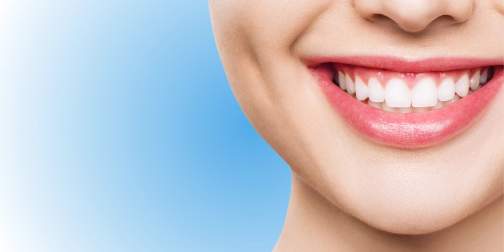 המוצרים שלנו