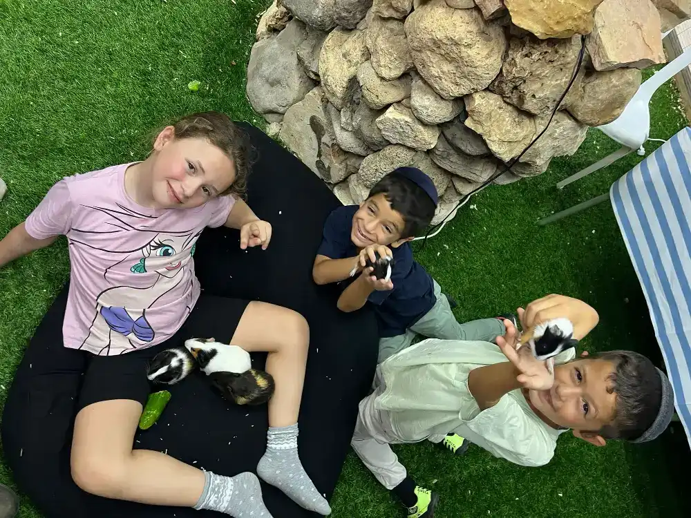 שירותי העסק