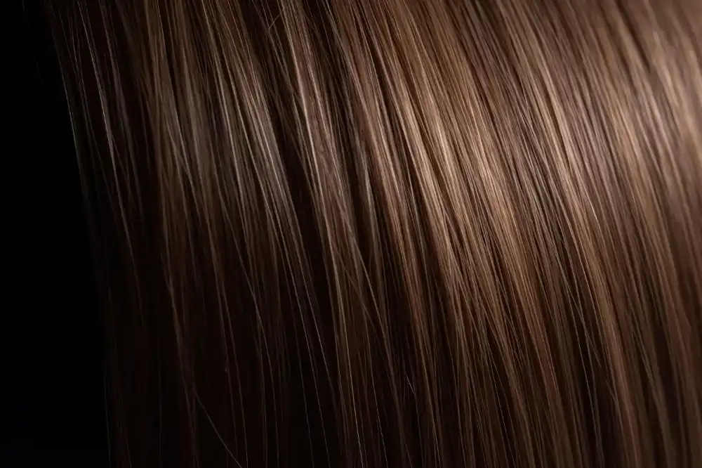 גלריה תמונות