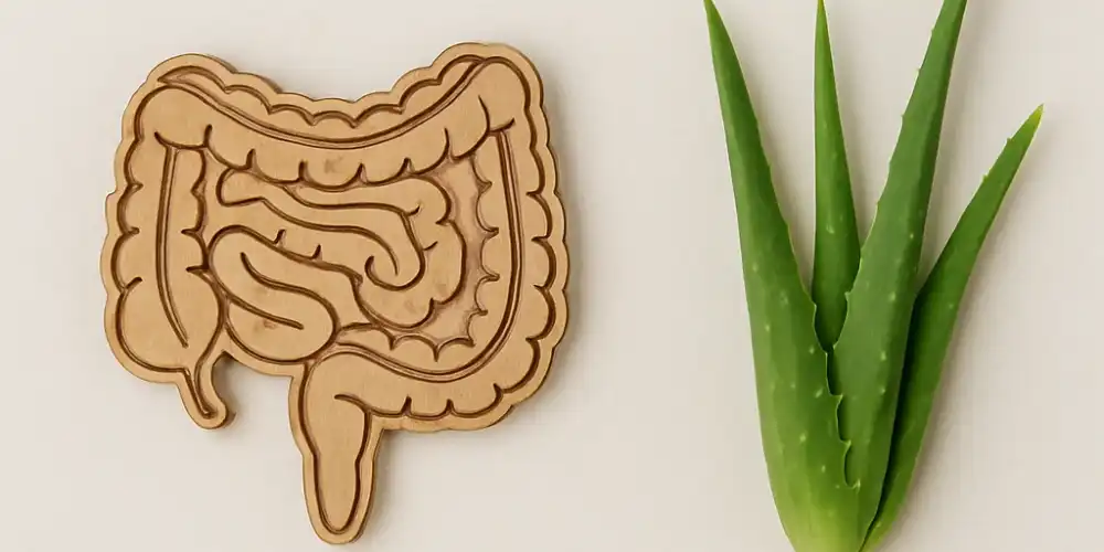 פתרון לבעיות מעיים