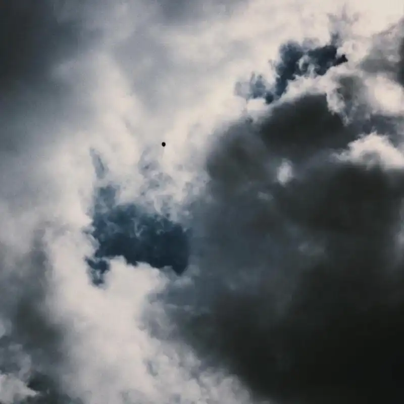 שירותי העסק