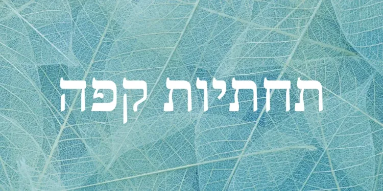 תחתיות קפה