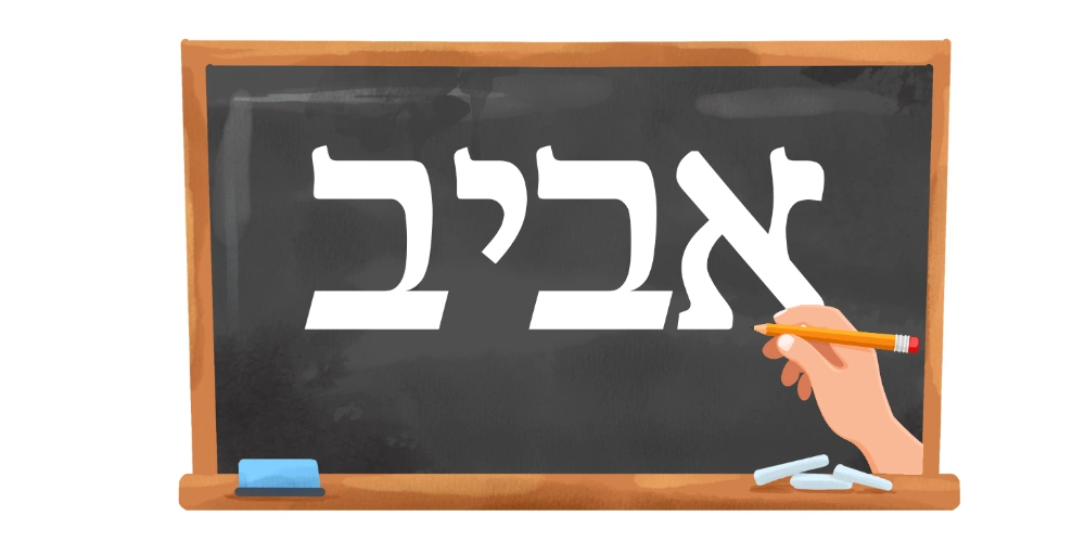 אביב