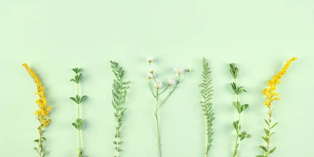 בלוג ומאמרים