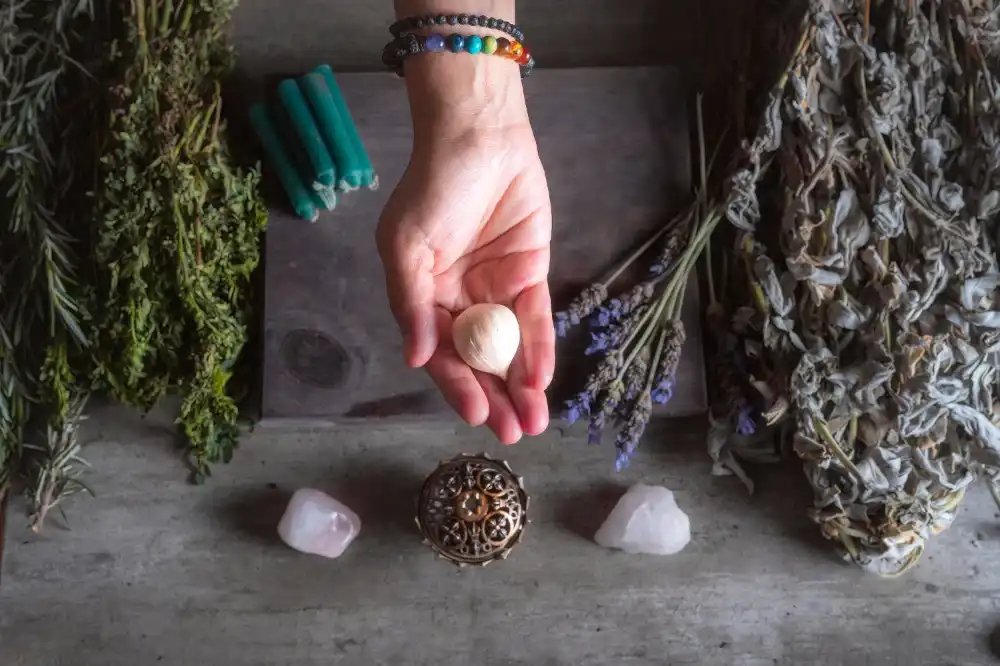 שירותי העסק