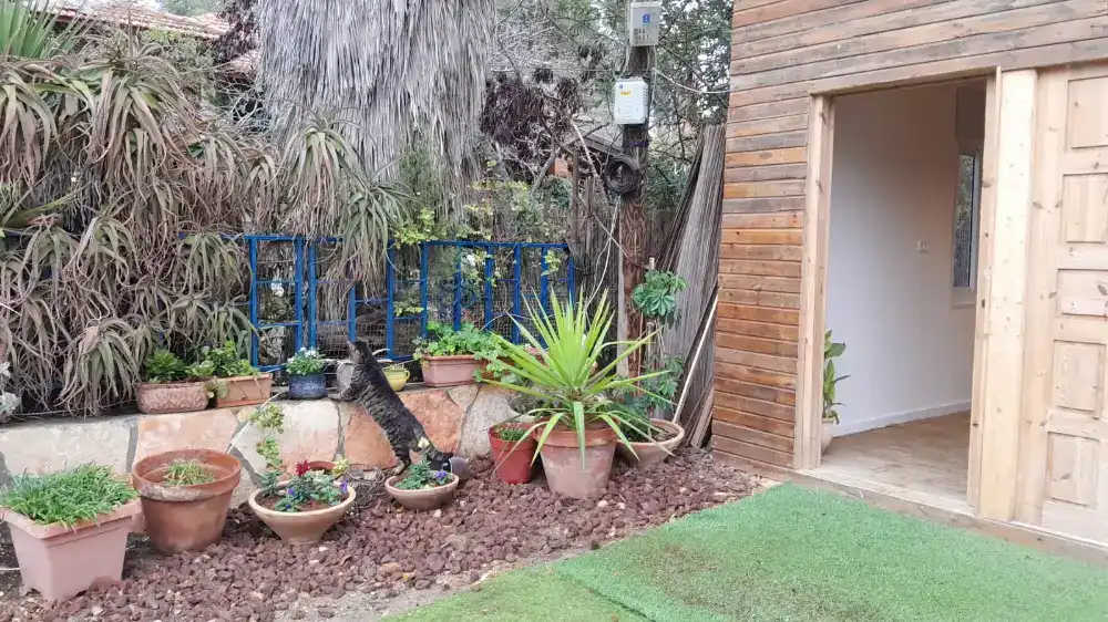 השכרת החלל – כל האפשרויות