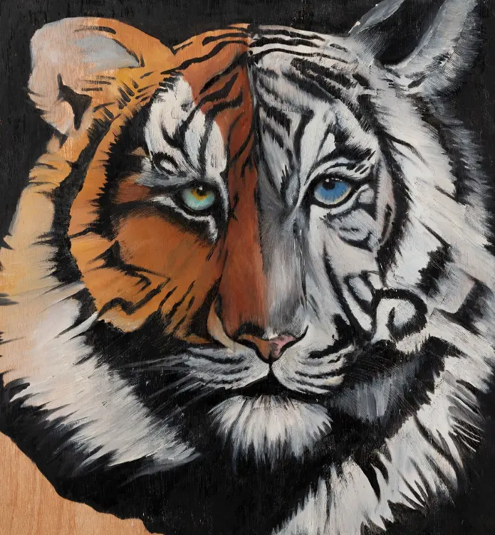 בלוג ומאמרים