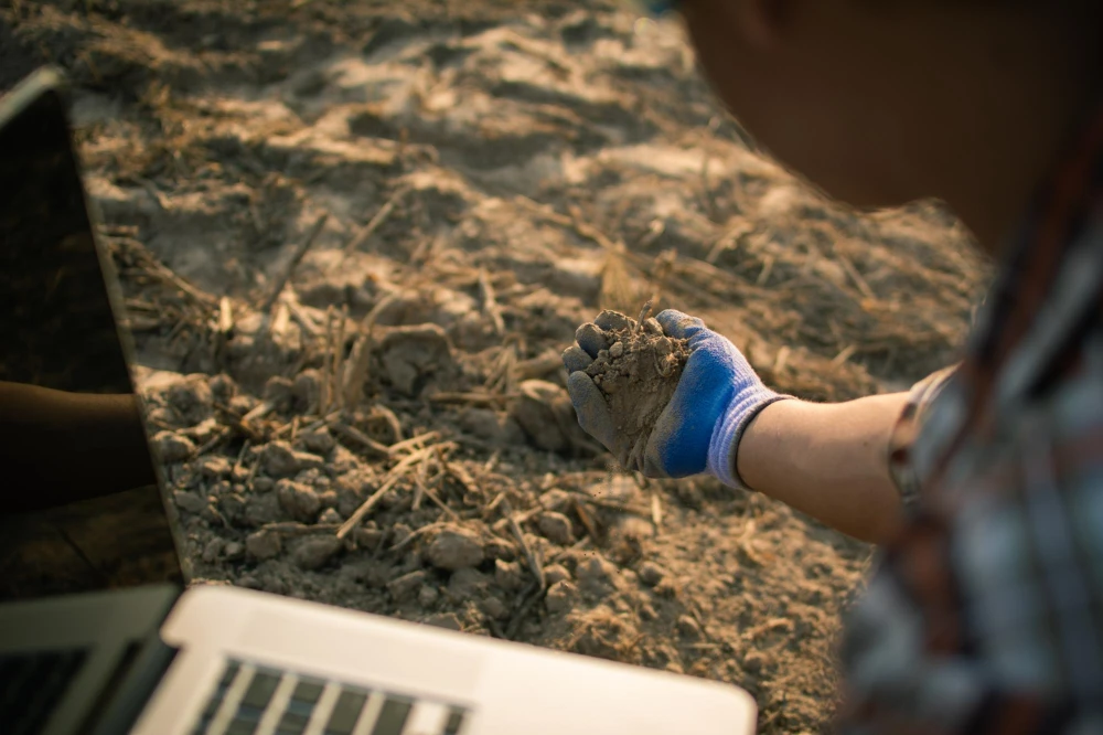 בלוג ומאמרים