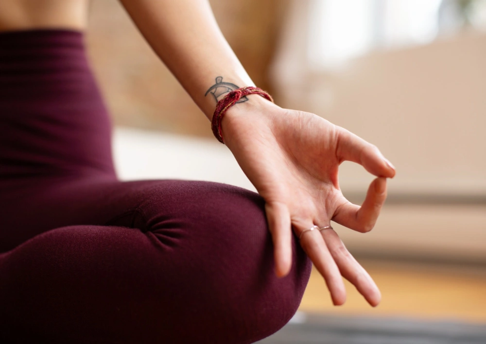 מידע ורישום